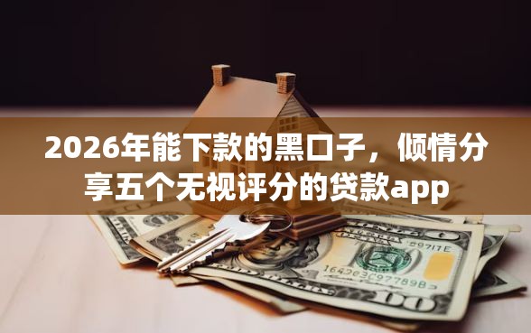 2026年能下款的黑口子，倾情分享五个无视评分的贷款app