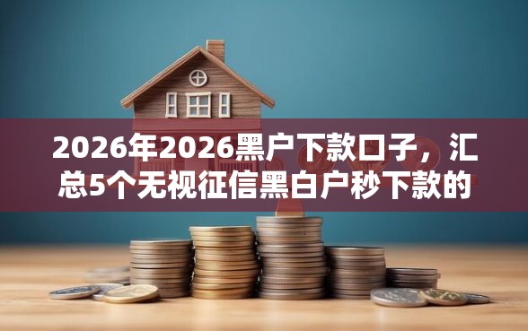2026年2026黑户下款口子，汇总5个无视征信黑白户秒下款的贷款