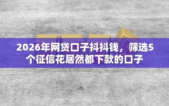 2026年网贷口子抖抖钱，筛选5个征信花居然都下款的口子