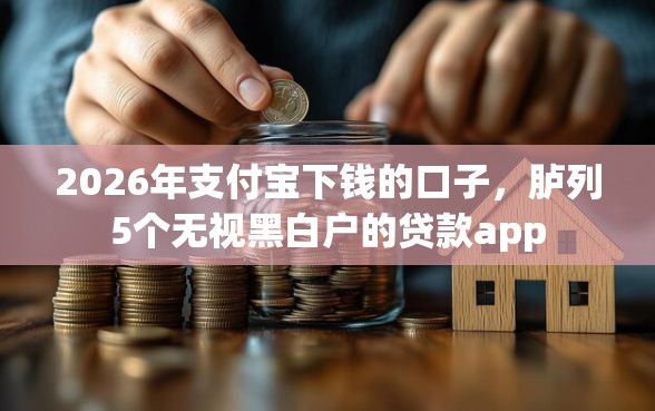 2026年支付宝下钱的口子，胪列5个无视黑白户的贷款app