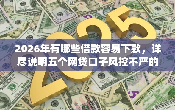 2026年有哪些借款容易下款，详尽说明五个网贷口子风控不严的app