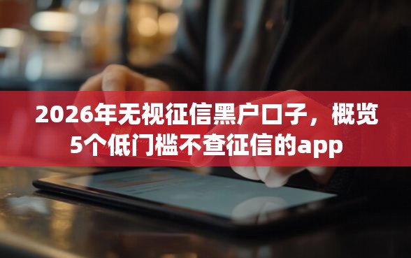 2026年无视征信黑户口子，概览5个低门槛不查征信的app