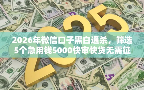 2026年微信口子黑白通杀，筛选5个急用钱5000快审快贷无需征信软件