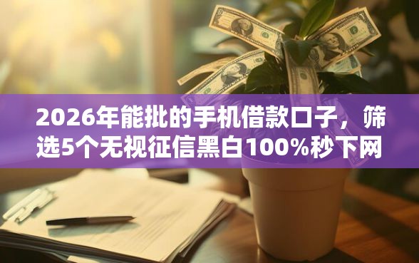 2026年能批的手机借款口子，筛选5个无视征信黑白100%秒下网贷口子