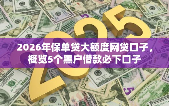 2026年保单贷大额度网贷口子，概览5个黑户借款必下口子