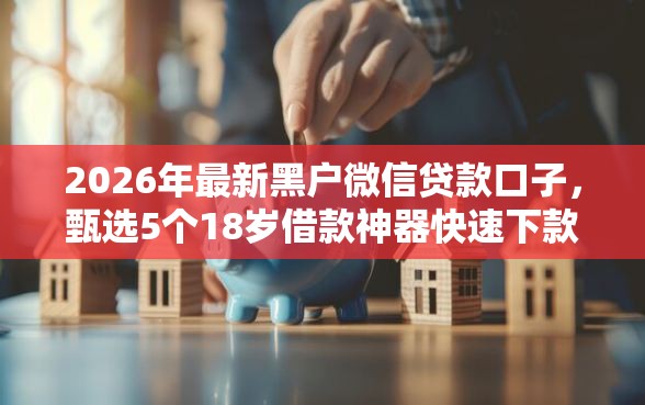 2026年最新黑户微信贷款口子，甄选5个18岁借款神器快速下款平台