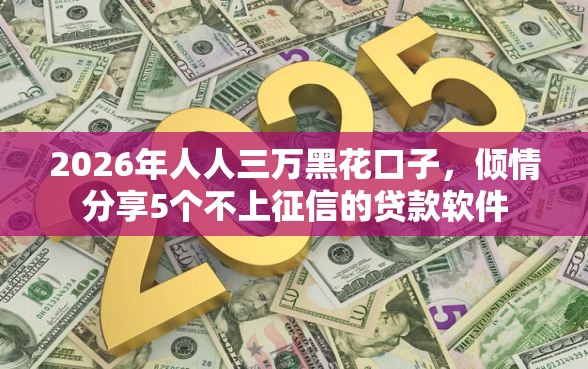 2026年人人三万黑花口子，倾情分享5个不上征信的贷款软件