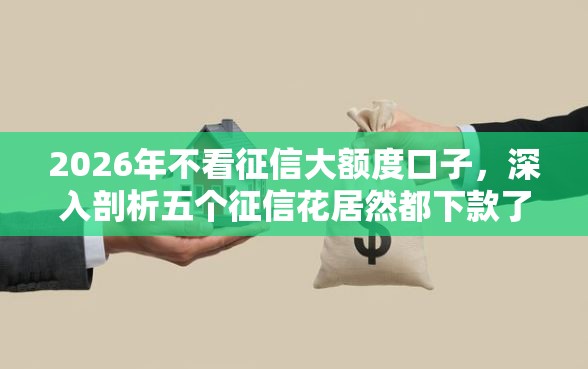 2026年不看征信大额度口子,深入剖析五个征信花居然都下款了的口子 2026年不看征信大额度口子,深入剖析五个征信花居然都下款了的口子