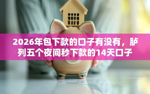 2026年包下款的口子有没有，胪列五个夜间秒下款的14天口子
