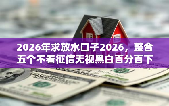 2026年求放水口子2026，整合五个不看征信无视黑白百分百下款网贷口子