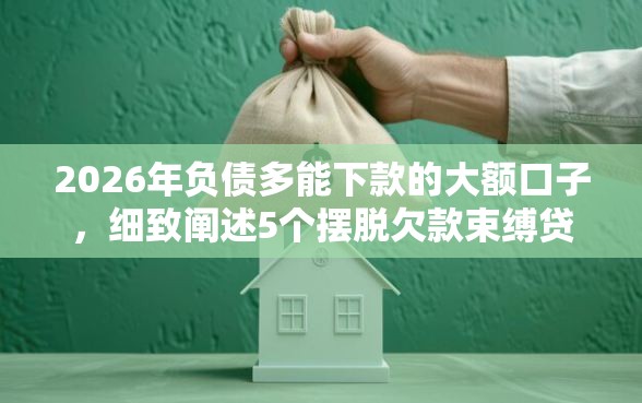 2026年负债多能下款的大额口子，细致阐述5个摆脱欠款束缚贷款新口子