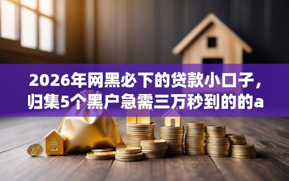 2026年网黑必下的贷款小口子，归集5个黑户急需三万秒到的的app