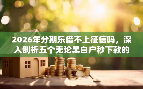 2026年分期乐借不上征信吗，深入剖析五个无论黑白户秒下款的贷款平台
