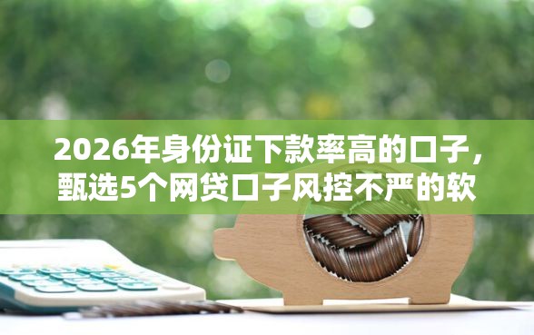 2026年身份证下款率高的口子，甄选5个网贷口子风控不严的软件
