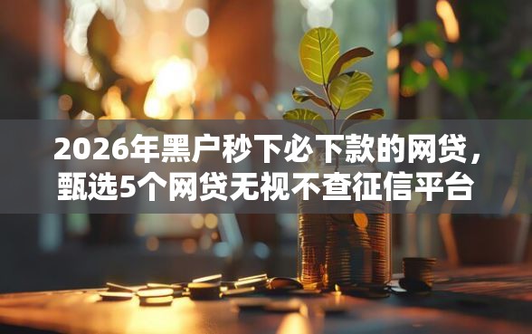 2026年黑户秒下必下款的网贷，甄选5个网贷无视不查征信平台
