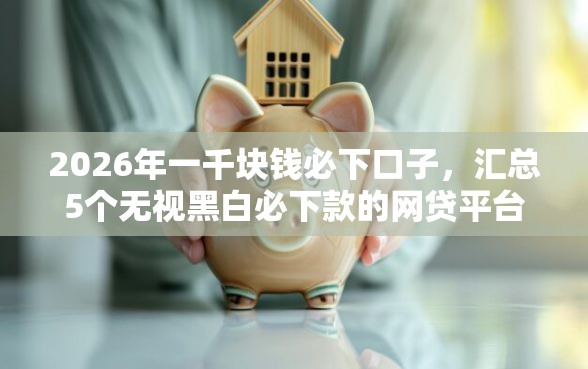 2026年一千块钱必下口子，汇总5个无视黑白必下款的网贷平台