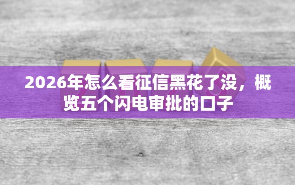 2026年怎么看征信黑花了没，概览五个闪电审批的口子