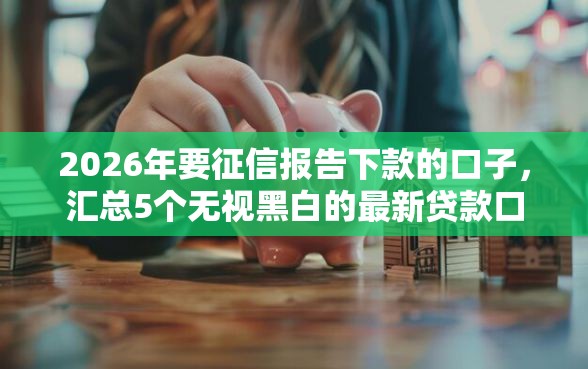 2026年要征信报告下款的口子，汇总5个无视黑白的最新贷款口子