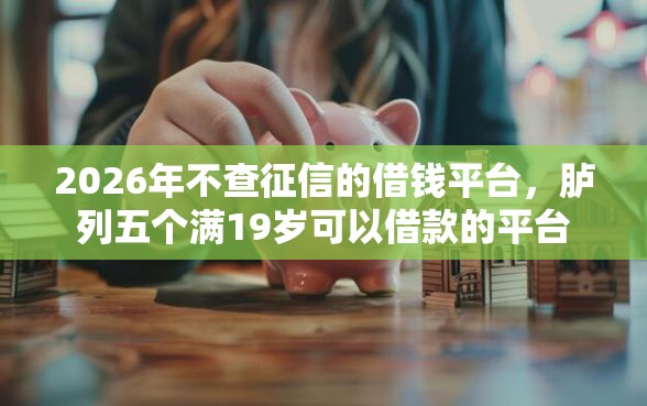 2026年不查征信的借钱平台，胪列五个满19岁可以借款的平台