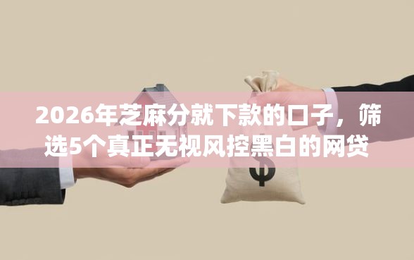 2026年芝麻分就下款的口子，筛选5个真正无视风控黑白的网贷app