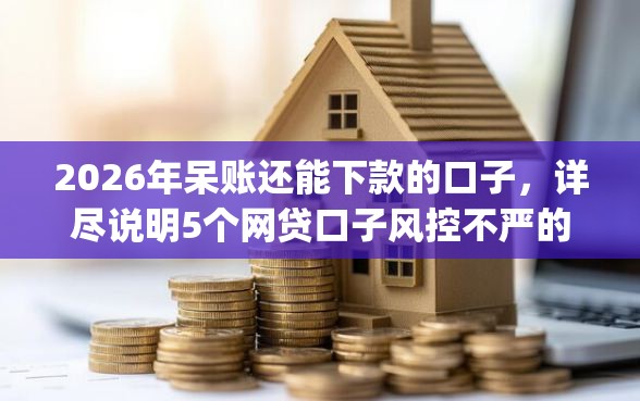 2026年呆账还能下款的口子，详尽说明5个网贷口子风控不严的app