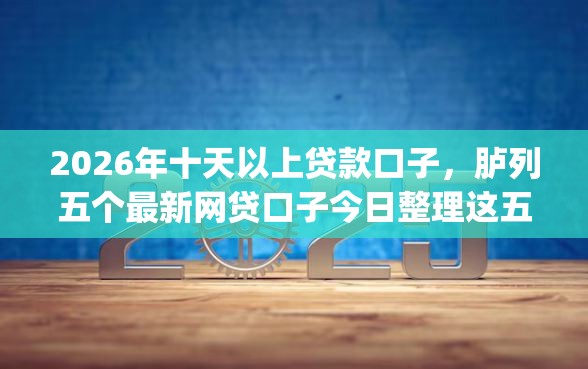 2026年十天以上贷款口子，胪列五个最新网贷口子今日整理这五个app