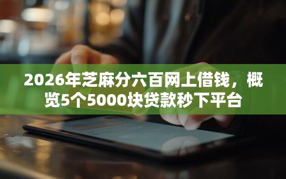 2026年芝麻分六百网上借钱，概览5个5000块贷款秒下平台