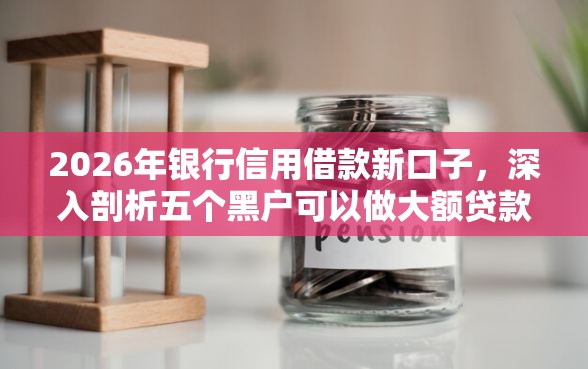 2026年银行信用借款新口子，深入剖析五个黑户可以做大额贷款平台