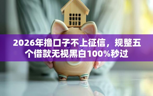 2026年撸口子不上征信，规整五个借款无视黑白100%秒过