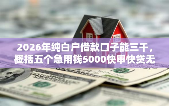 2026年纯白户借款口子能三千，概括五个急用钱5000快审快贷无需征信平台