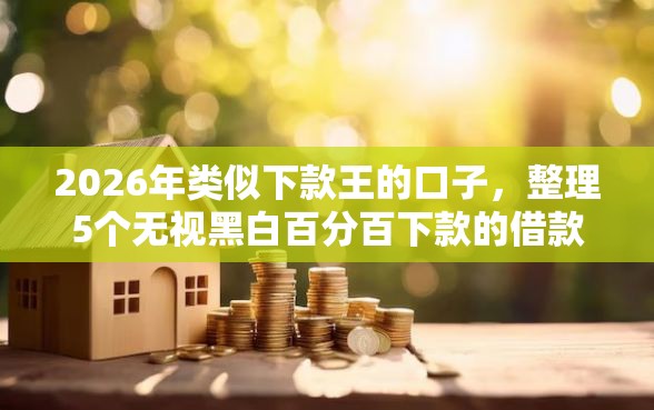 2026年类似下款王的口子，整理5个无视黑白百分百下款的借款口子