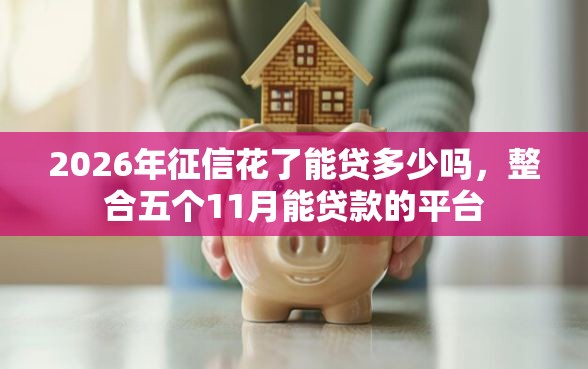 2026年征信花了能贷多少吗，整合五个11月能贷款的平台