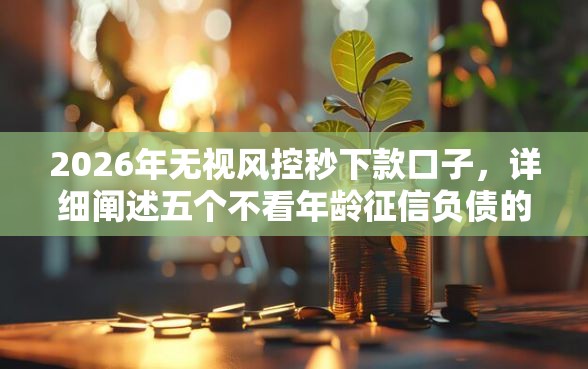 2026年无视风控秒下款口子，详细阐述五个不看年龄征信负债的平台