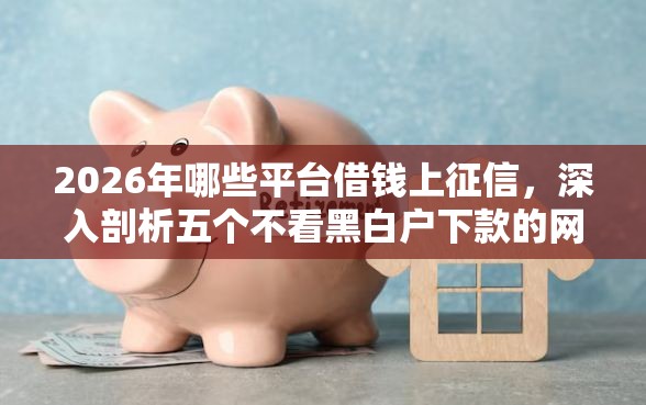 2026年哪些平台借钱上征信，深入剖析五个不看黑白户下款的网贷