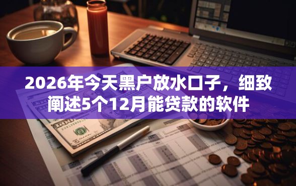 2026年今天黑户放水口子，细致阐述5个12月能贷款的软件
