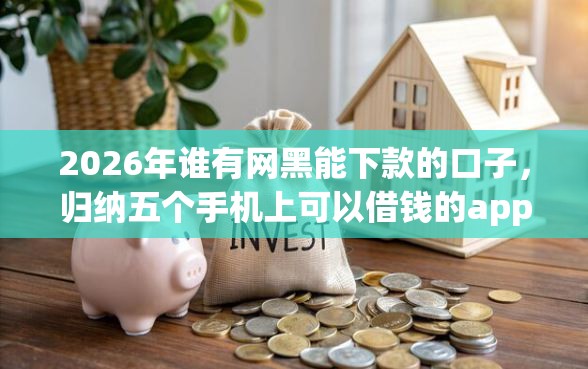2026年谁有网黑能下款的口子，归纳五个手机上可以借钱的app