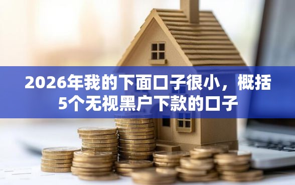 2026年我的下面口子很小，概括5个无视黑户下款的口子