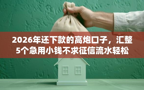 2026年还下款的高炮口子，汇整5个急用小钱不求征信流水轻松贷的app