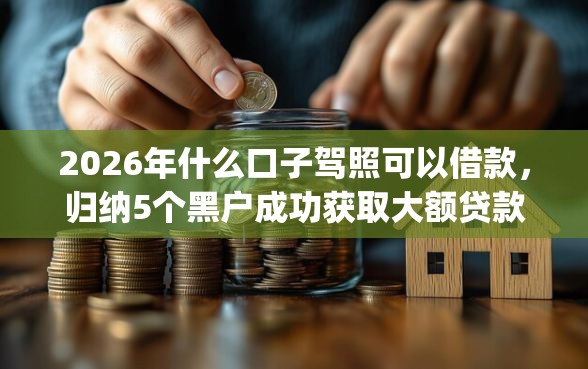 2026年什么口子驾照可以借款，归纳5个黑户成功获取大额贷款的app