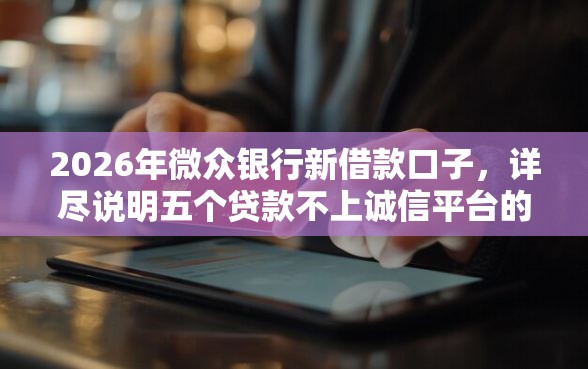 2026年微众银行新借款口子，详尽说明五个贷款不上诚信平台的平台