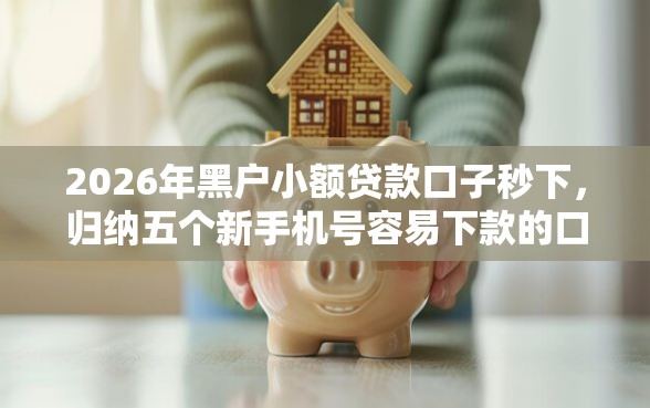 2026年黑户小额贷款口子秒下，归纳五个新手机号容易下款的口子
