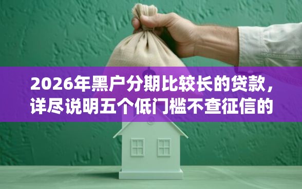2026年黑户分期比较长的贷款，详尽说明五个低门槛不查征信的app