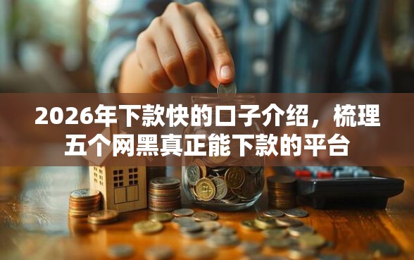 2026年下款快的口子介绍，梳理五个网黑真正能下款的平台