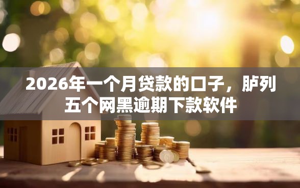 2026年一个月贷款的口子，胪列五个网黑逾期下款软件