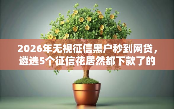 2026年无视征信黑户秒到网贷，遴选5个征信花居然都下款了的平台