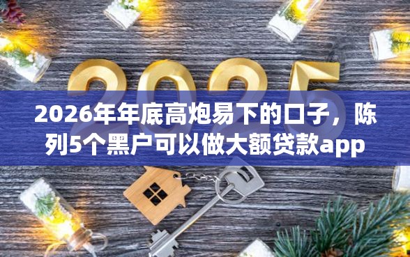 2026年年底高炮易下的口子，陈列5个黑户可以做大额贷款app