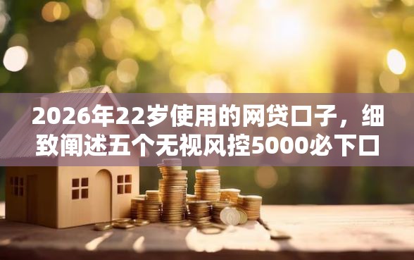 2026年22岁使用的网贷口子，细致阐述五个无视风控5000必下口子