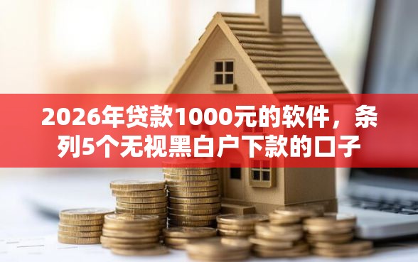 2026年贷款1000元的软件，条列5个无视黑白户下款的口子