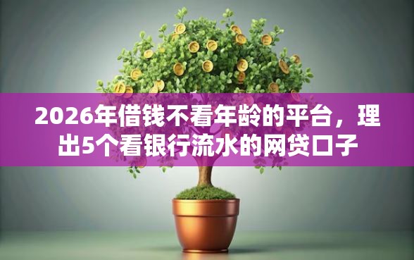 2026年借钱不看年龄的平台，理出5个看银行流水的网贷口子