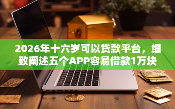 2026年十六岁可以贷款平台，细致阐述五个APP容易借款1万块的软件